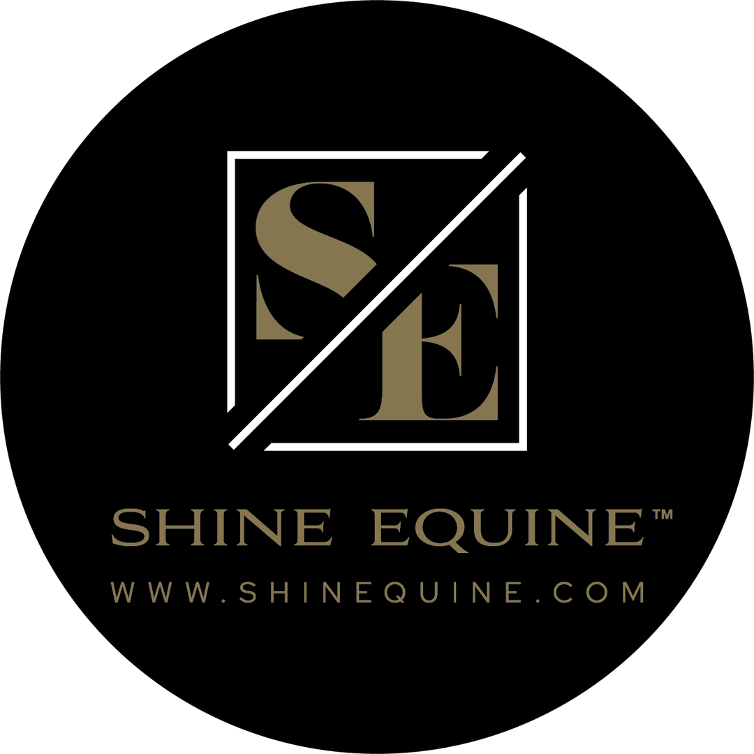 Shine Equine 3" Sticker