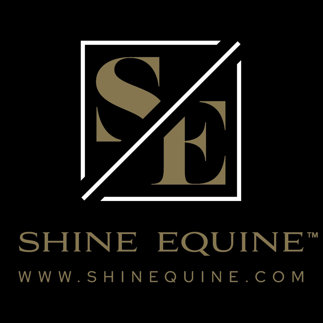 Shine Equine 3" Sticker
