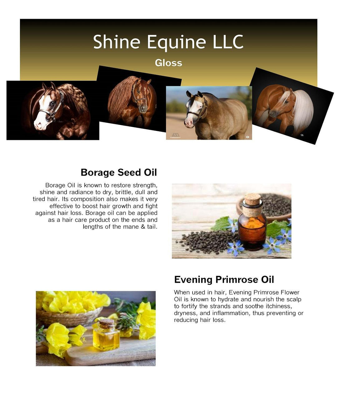 Shine Gloss - Shine Equine LLC