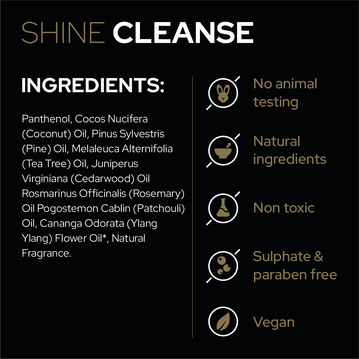 Shine Cleanse, Repel & Gloss Free Sample Kit – Shine Equine LLC