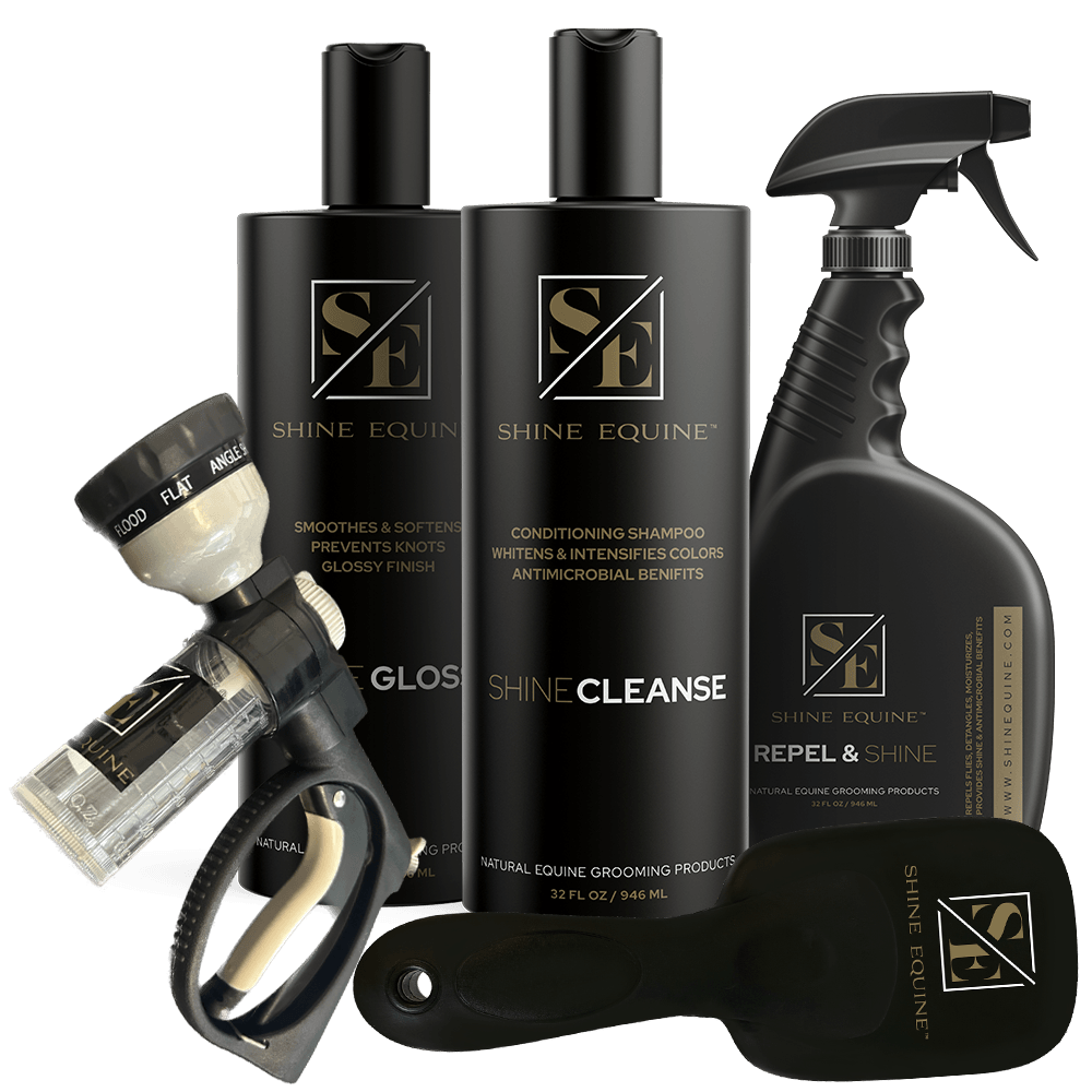 Shine Cleanse Gloss Repel Combo Starter Kit 2
