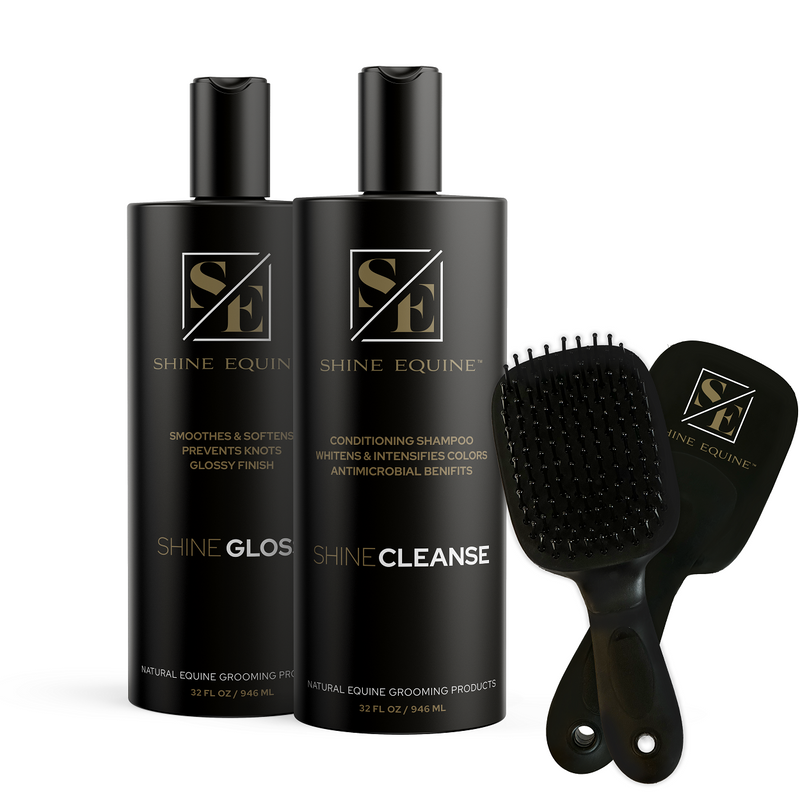 Shine Cleanse & Gloss Combo with FREE BRUSH