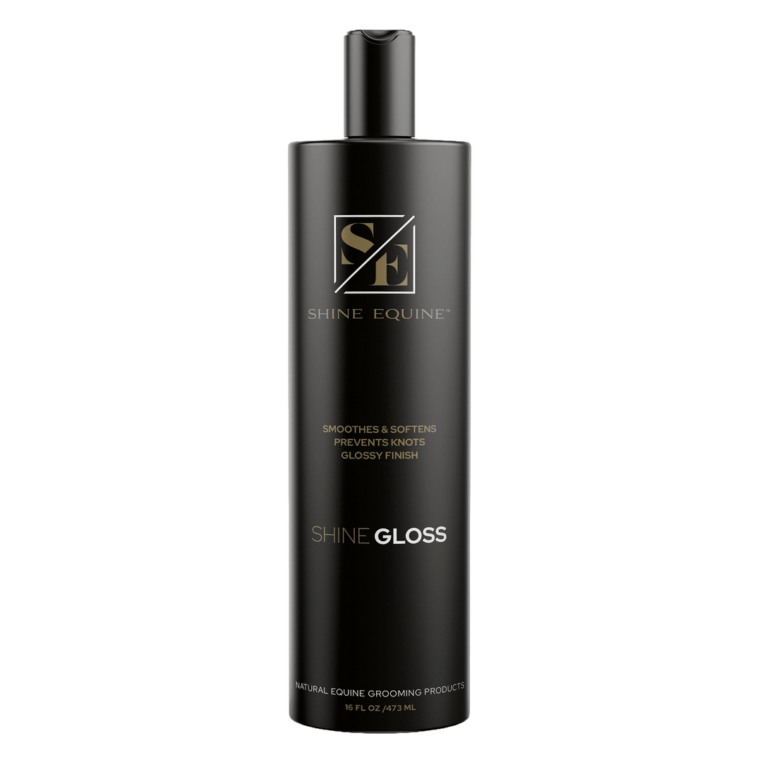 Shine Gloss