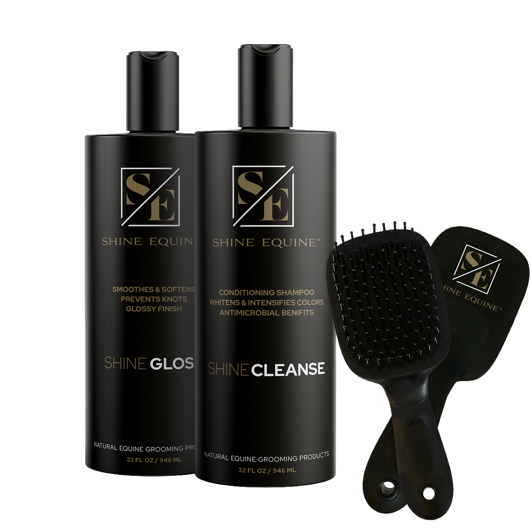 Shine Cleanse &amp; Gloss Combo with FREE BRUSH