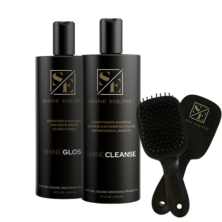Shine Cleanse &amp; Gloss Combo with FREE BRUSH